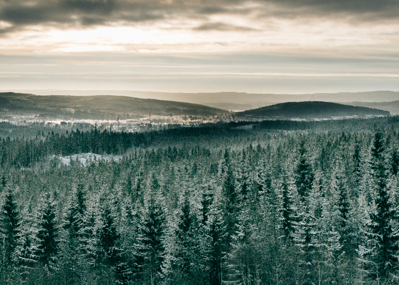 Presenttips för naturälskaren