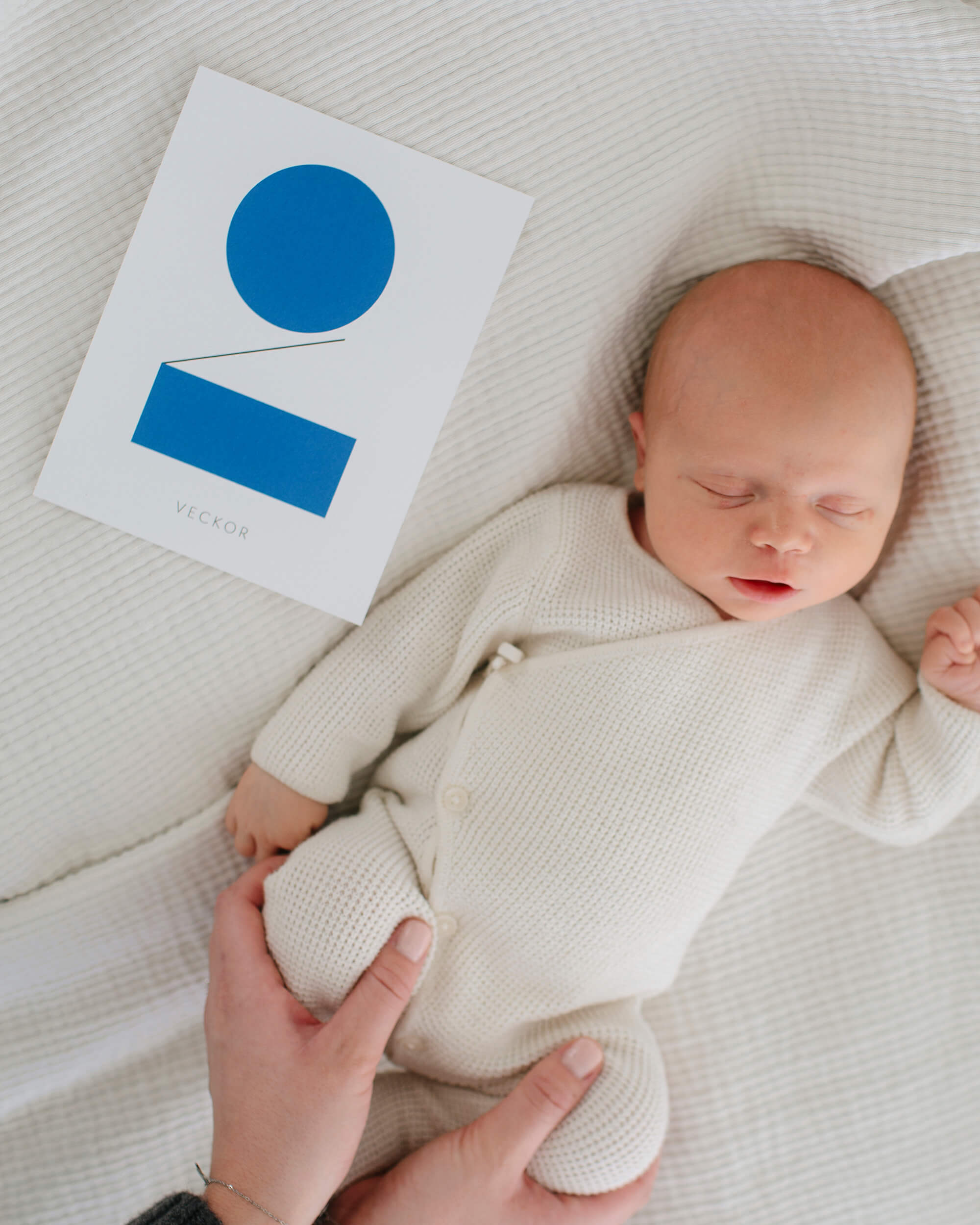 First year card | Bauhaus